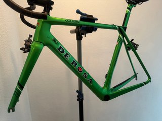 Cuadro De Rosa Protos Caja Rural