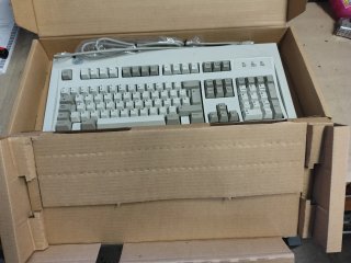 Teclado IBM Model M Nuevo