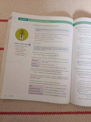 Lengua Castellana y Literatura, 4 ESO, Proyecto...