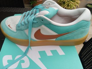 Zapatillas Nike SB Force 58 Teal/Blanco