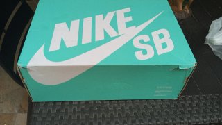 Zapatillas Nike SB Force 58 Teal/Blanco