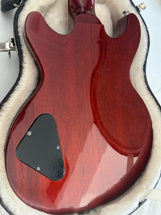 Gibson Les Paul Special 100 2015