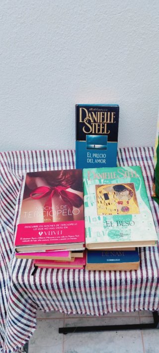 Lote 32 novelas de Danielle steel