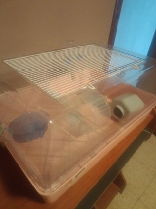 Jaula para hámster con accesorios