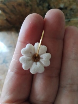 Pendientes Blancos