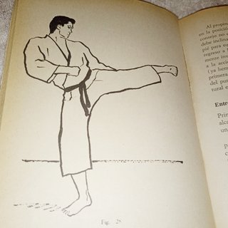 Manual práctico de karate