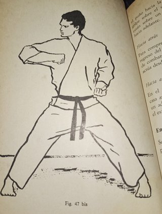 Manual práctico de karate