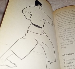 Manual práctico de karate