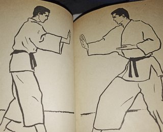 Manual práctico de karate