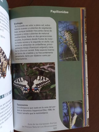 Guía de mariposas