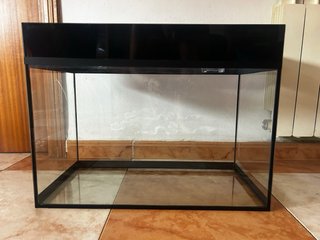 Acuario/Terrario Negro y Transparente