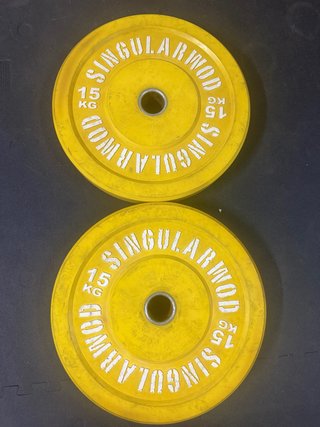 Discos de pesa 15 kg (2 unidades)