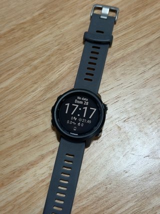 Garmin Forerunner 245 | Gris