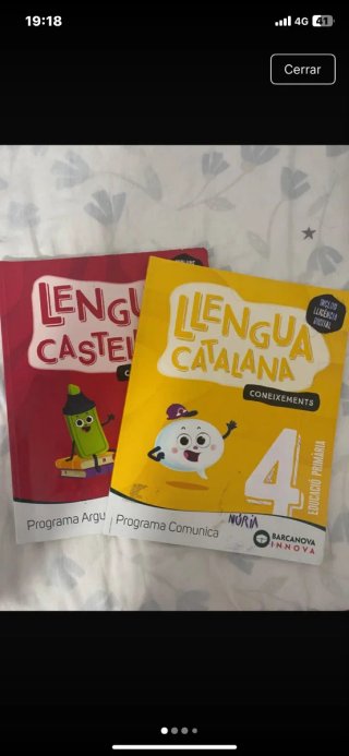 Libros de cuarto primaria.