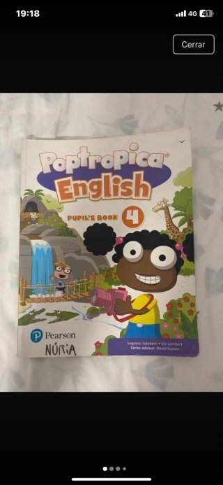 Libros de cuarto primaria.