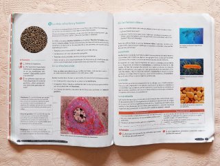 Biología y Geología, 4 ESO. Geniox Oxford.