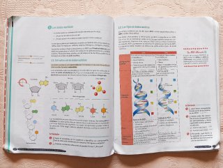 Biología y Geología, 4 ESO. Geniox Oxford.