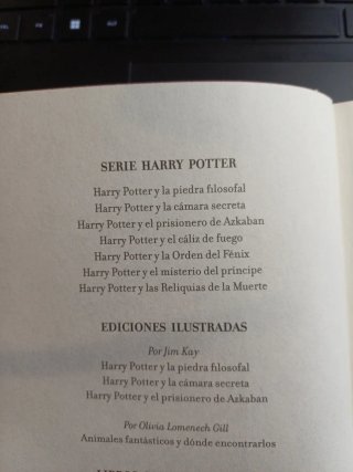 Harry Potter y la piedra filosofal GRYFFINDOR