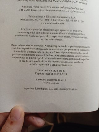 Harry Potter y la piedra filosofal GRYFFINDOR