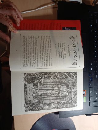 Harry Potter y la piedra filosofal GRYFFINDOR