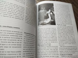 2 Revistas Aves Petroleadas Doc. Tec. Conservación
