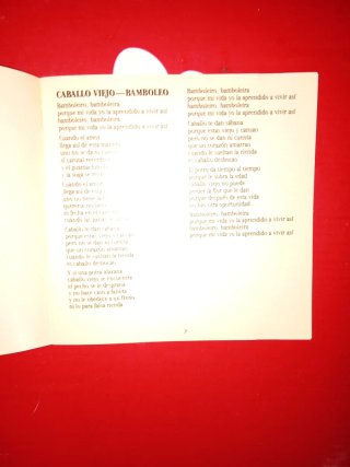 Julio Iglesias Raices CD