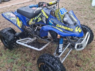 Gas gas Wild 300 2t