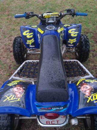 Gas gas Wild 300 2t