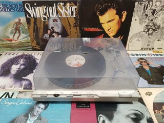 Tocadiscos Technics SL D3