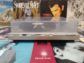 Tocadiscos Technics SL D3