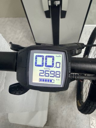 Bicicleta eléctrica Focus Sam 2 Solo 2700km