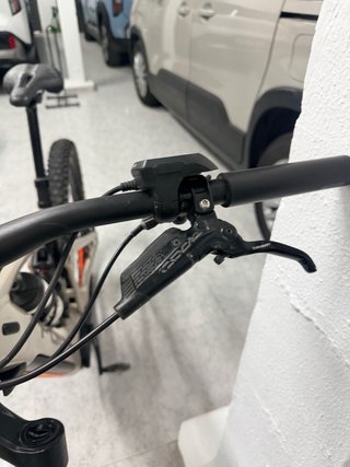 Bicicleta eléctrica Focus Sam 2 Solo 2700km