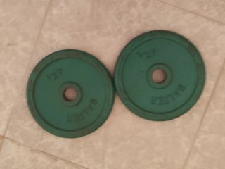 2 discos de pesa Salter 8kg
