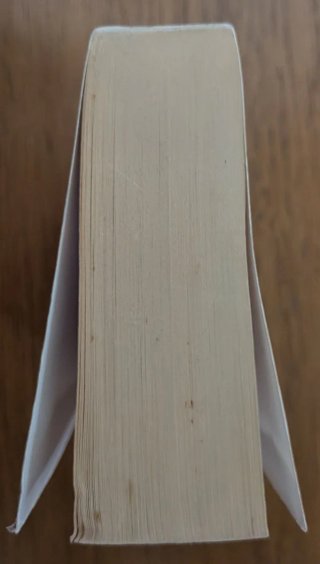 Perdona si te llamo amor. Federico Moccia