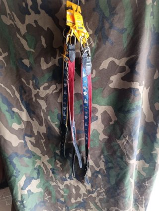 Collares para perro (4 unidades)