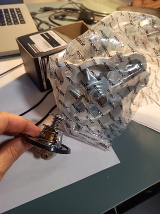 Bomba y termostato RIDEX