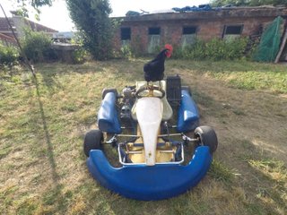Kart competición Tm K11B 100cc
