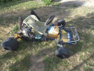 Kart competición Tm K11B 100cc