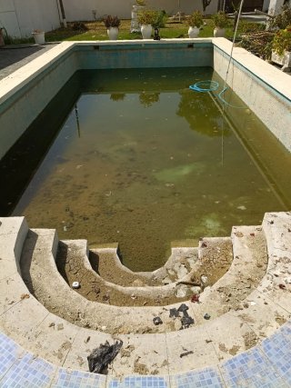 Reforma y construcción de piscina