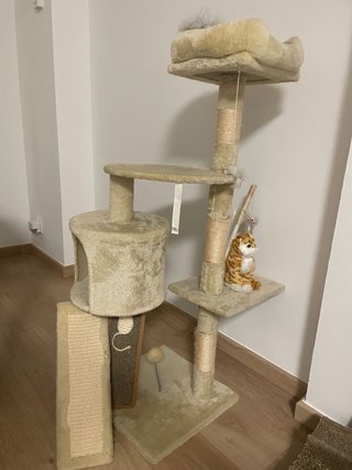 Torre rascador para gatos