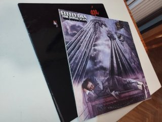 2 Vinili Steely Dan - The Royal Scam e Aja