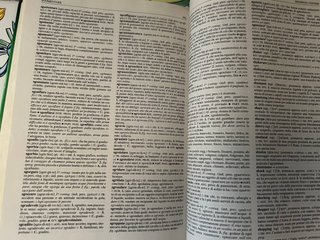 Dizionari vocabolari italiano sinonimi contrari