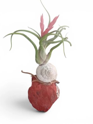 Exclusiva composición artesanal ideal para decorac
