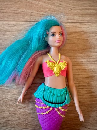 Conjunto di bambole Barbie e Ken