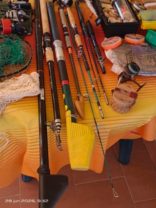 Lote pesca: cañas, carretes y accesorios