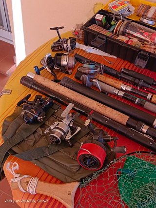 Lote pesca: cañas, carretes y accesorios