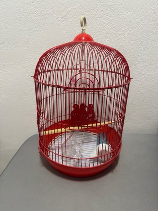 Lote Jaula y juguetes de pajaro