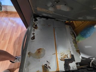 Horno, fuegos y Campana de Cocina