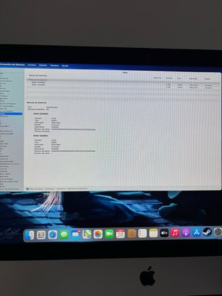 Imac 14,4 “ de 2014 Plata con funda de transporte.