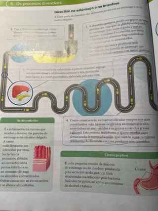 BIOLOXIA E XEOLOXIA 3 ESO CONTRUINDO MUNDOS